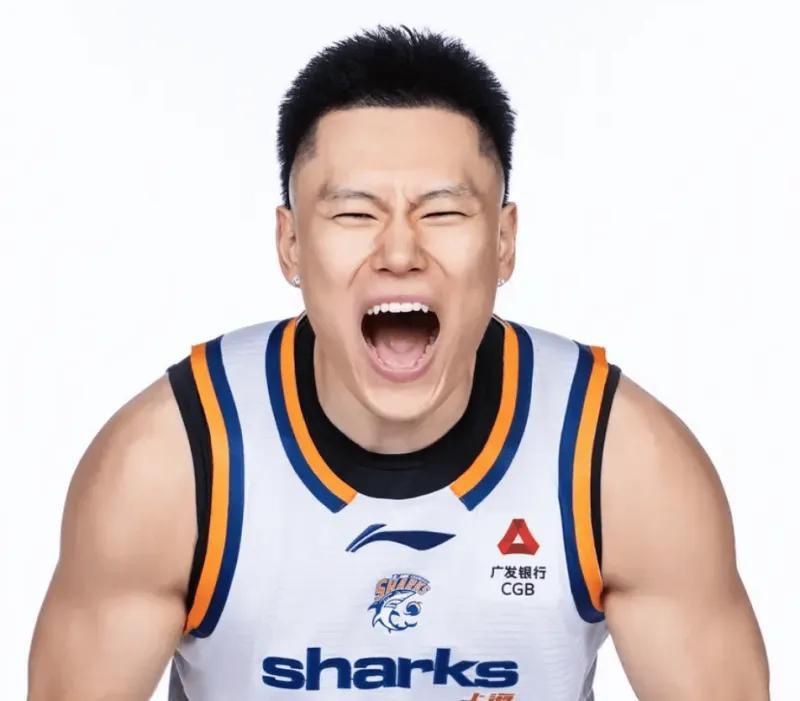 vinbet浩博介绍图片