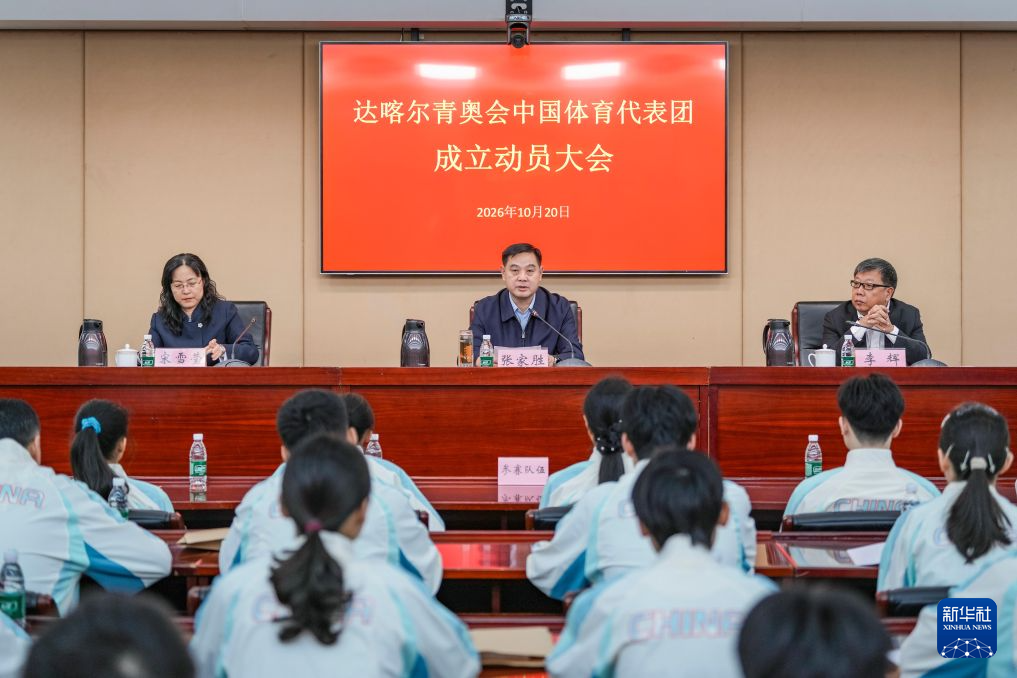 专业vinbet浩博服务
